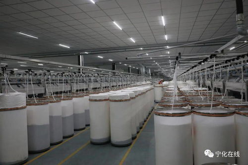 寧化長寧紡織 以科技創(chuàng)新為引擎，激活產業(yè)新動能